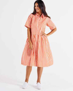 BB8307 Denver Cotton Dress